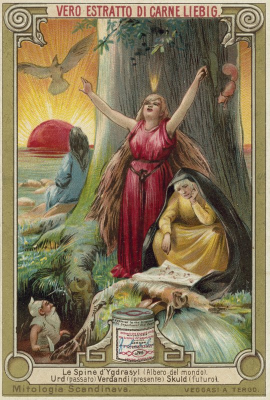 Trädet Yggdrasil av European School