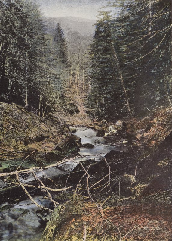 Luchon, Upper Valley Of The Pike av European Photographer