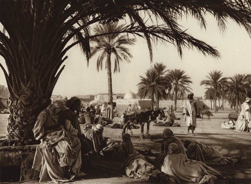 Touggourt Oasis (s/v-foto) av European Photographer