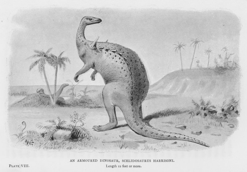 En pansardinosaurie, Scelidosaurus Harrisoni (litho) av European School