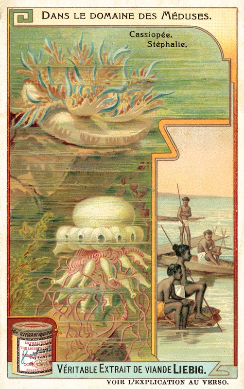 Cassiopeia och Stephalia (chromolitho) av European School