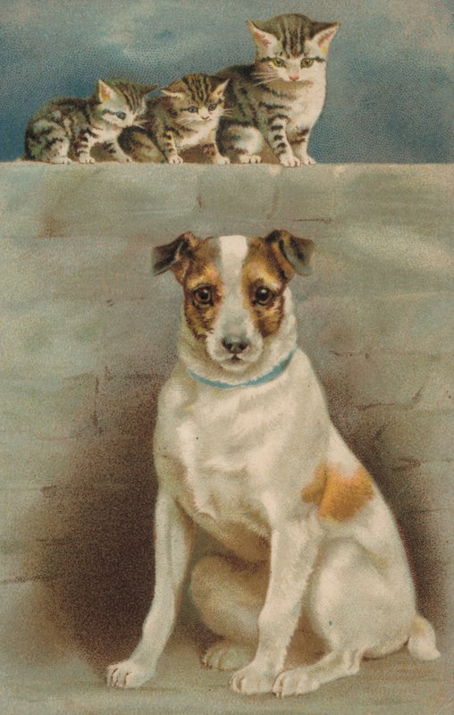 Katter observerar en hund (färglitografi) av European School