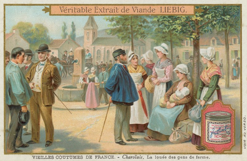 Charolais av European School