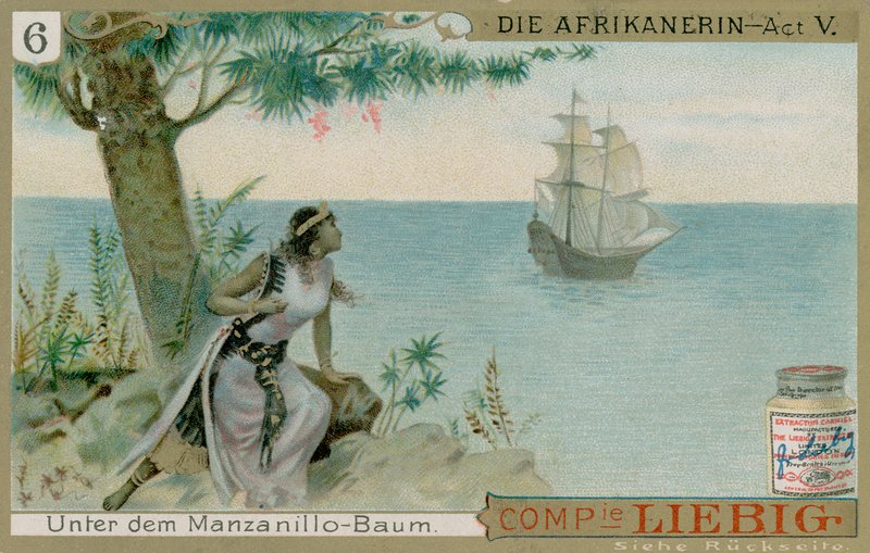 Die Afrikanerin: Akt 5 av European School