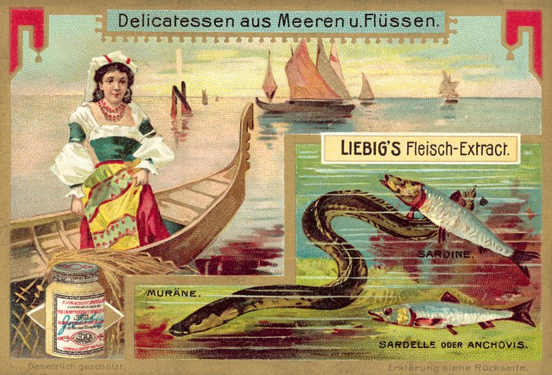 Ål, sardin och ansjovis (chromolitho) av European School