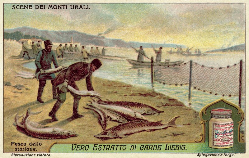Fiske efter stör (chromolitho) av European School