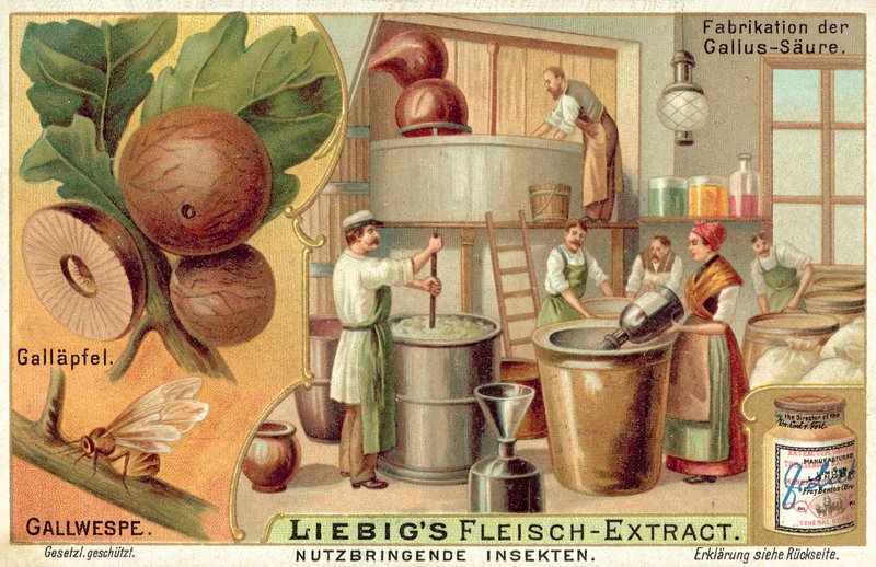 Gallgeting (chromolitho) av European School