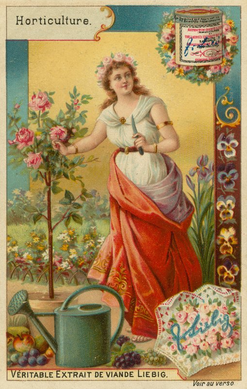Hortikultur av European School