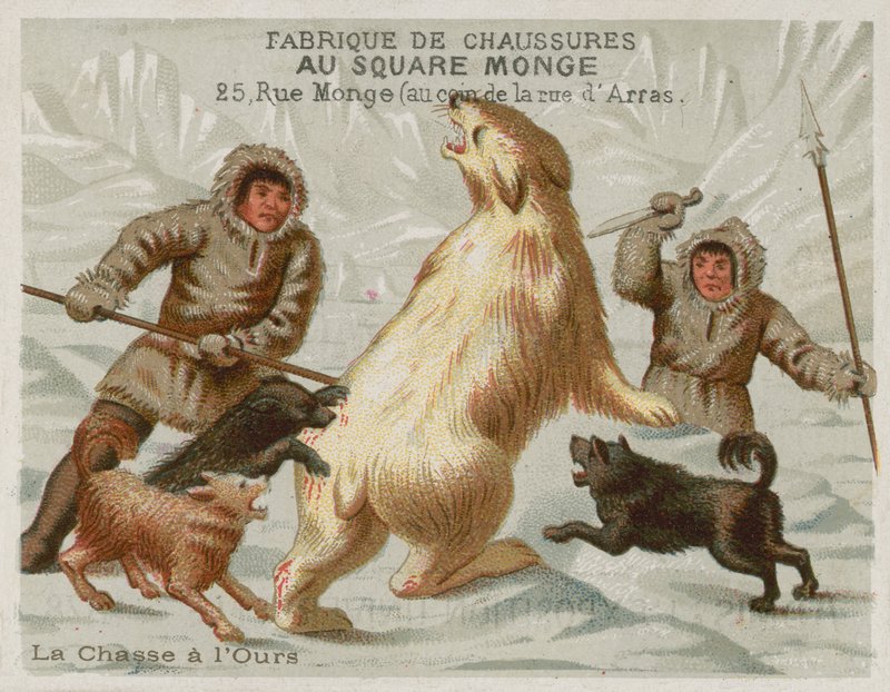 Jaga isbjörnar med hundar (chromolitho) av European School