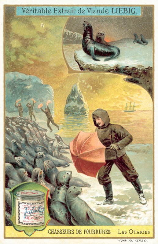 Jaga sjölejon (chromolitho) av European School