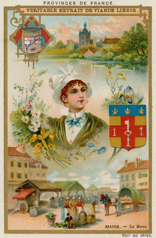 Maine av European School