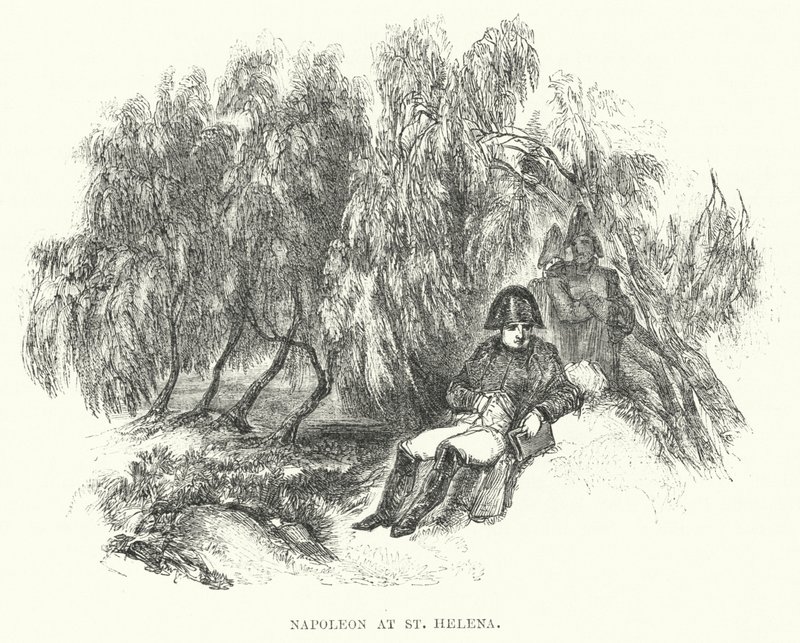 Napoleon i St Helena (gravyr) av European School