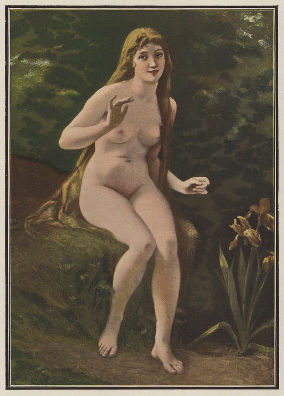 Näktergalens sång (färg litho) av European School