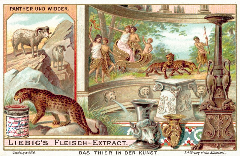 Pantrar och baggar (chromolitho) av European School