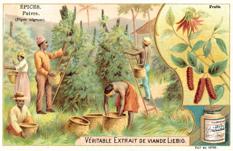 Peppar (chromolitho) av European School