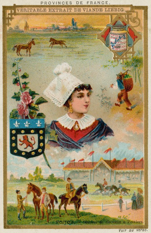 Poitou av European School