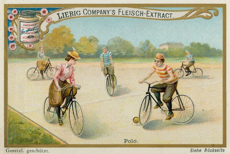 Polo av European School