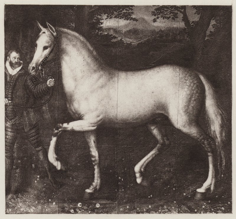 Drottning Elizabeths häst (litho) av European School
