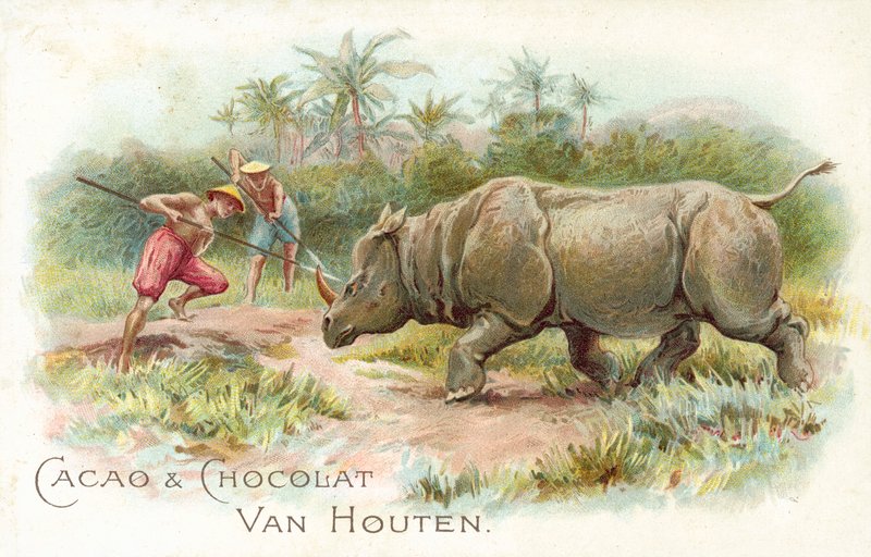 Noshörning under attack (färg litho) av European School
