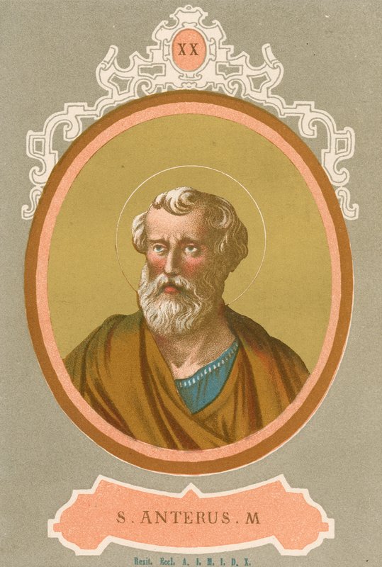 S Anterus M av European School