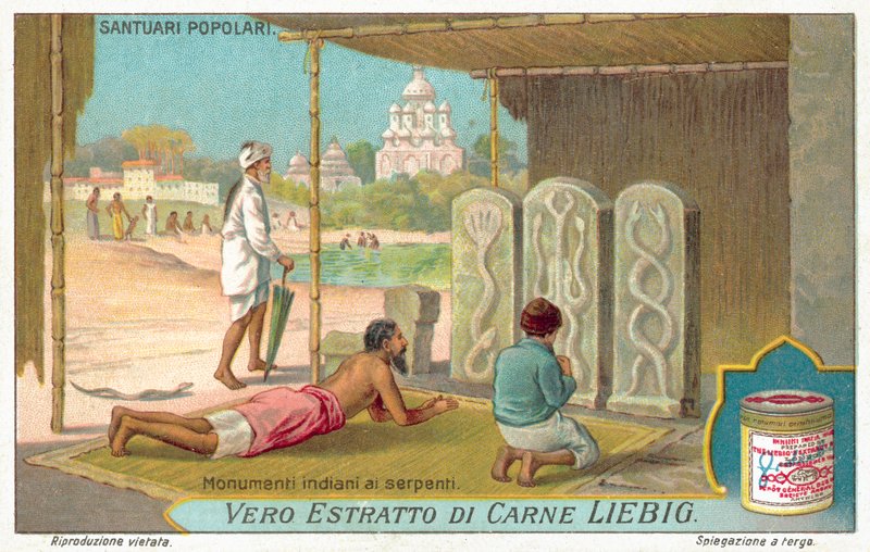 Ormmonument i Indien (chromolitho) av European School