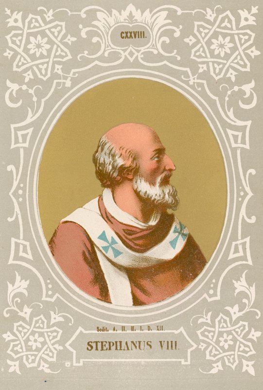 Stefan VIII av European School