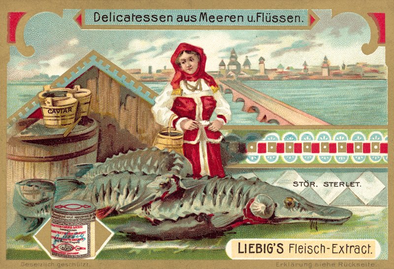 Stör (chromolitho) av European School