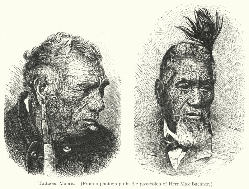 Tatuerade maorier (gravyr) av European School