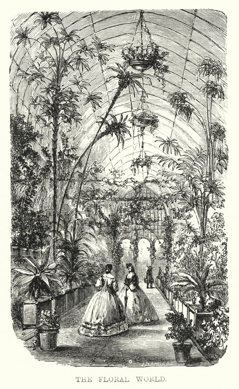 The Floral World (gravyr) av European School