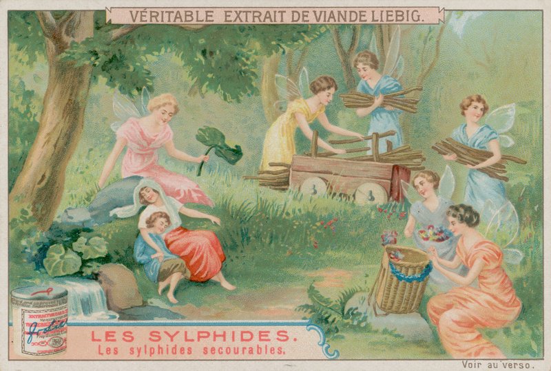 De hjälpsamma sylferna av European School