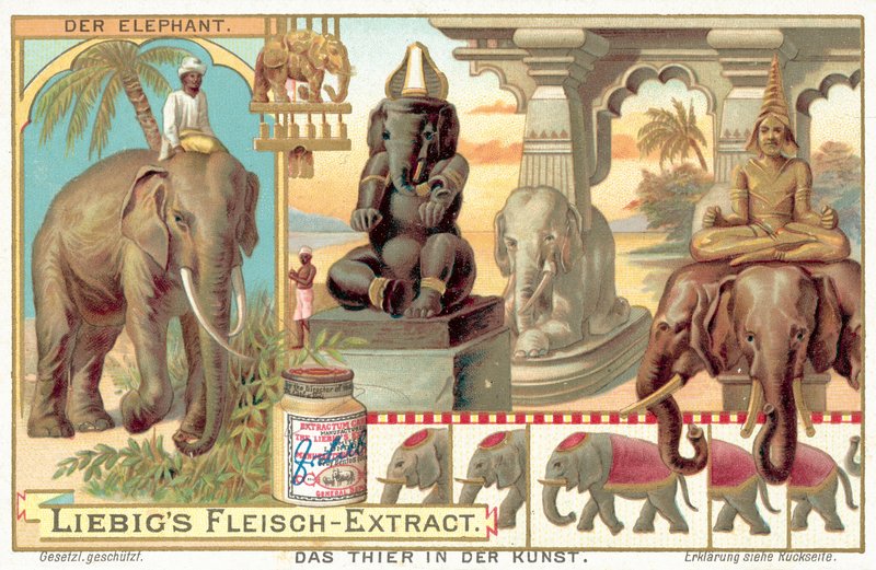 Elefanten (chromolitho) av European School