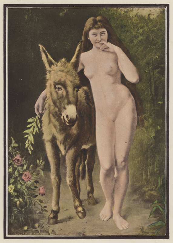 Den gyllene åsnan (färg litho) av European School
