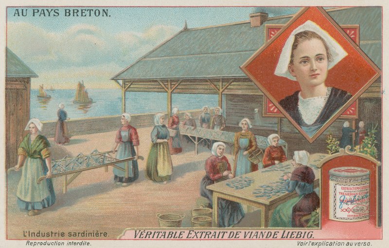 Kvinnor som förbereder sardiner (chromolitho) av European School