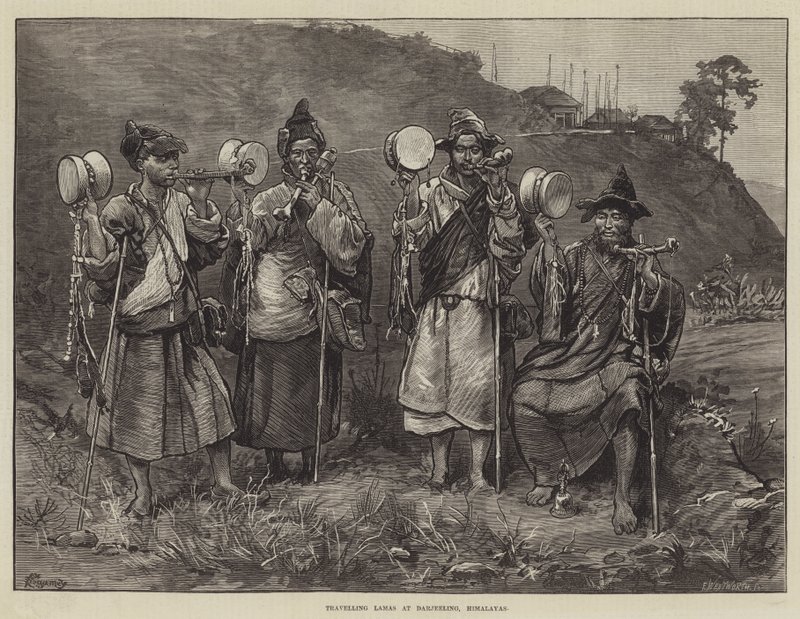 Resande lamor i Darjeeling, Himalaya av Felix Regamey