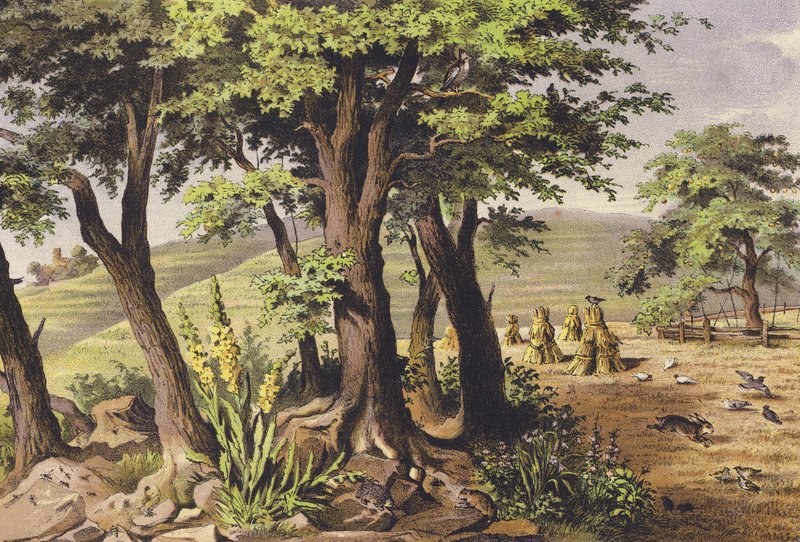 Augusti (färglitografi) av Ferdinand Karl Klimsch