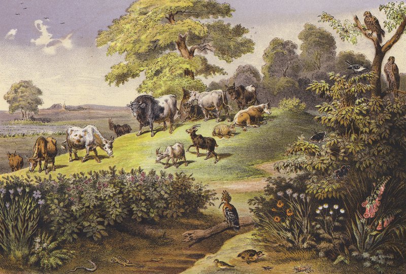 Juli (färglitografi) av Ferdinand Karl Klimsch