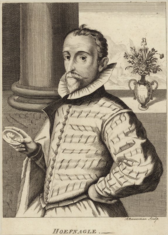 Porträtt av Joris Hoefnagel av Flemish School