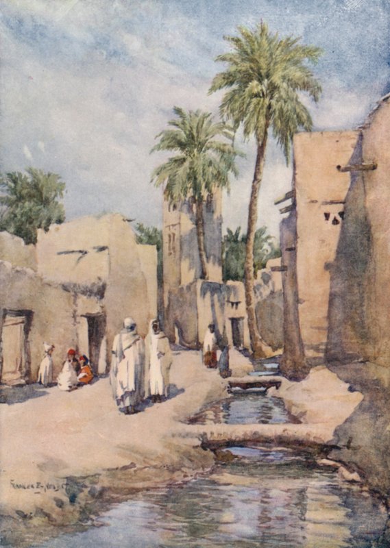 Oasen Biskra, Algeriet av Frances Nesbitt