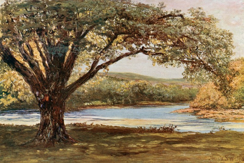 The Vale of Avoca av Francis S. Walker