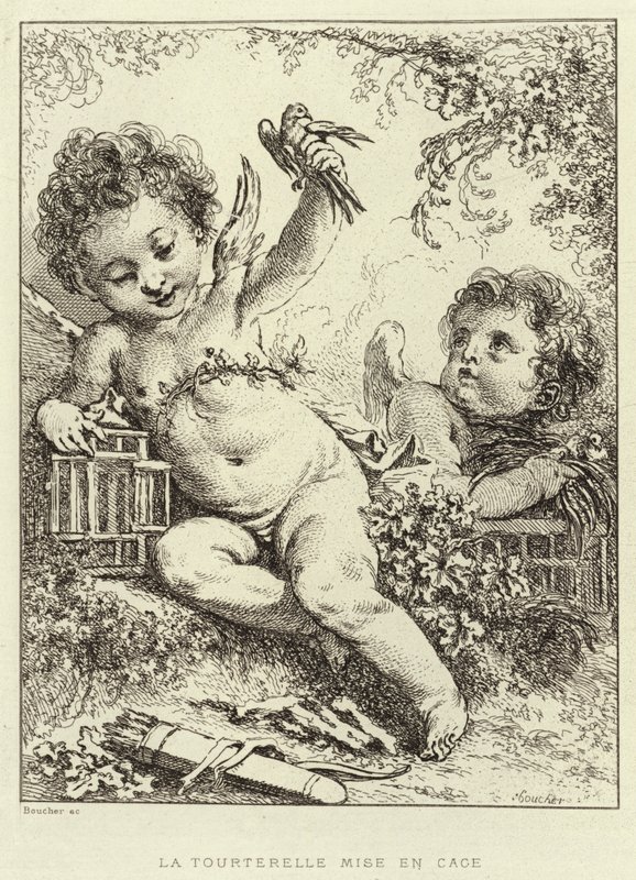 The Caged Dove (gravyr) av Francois (after) Boucher