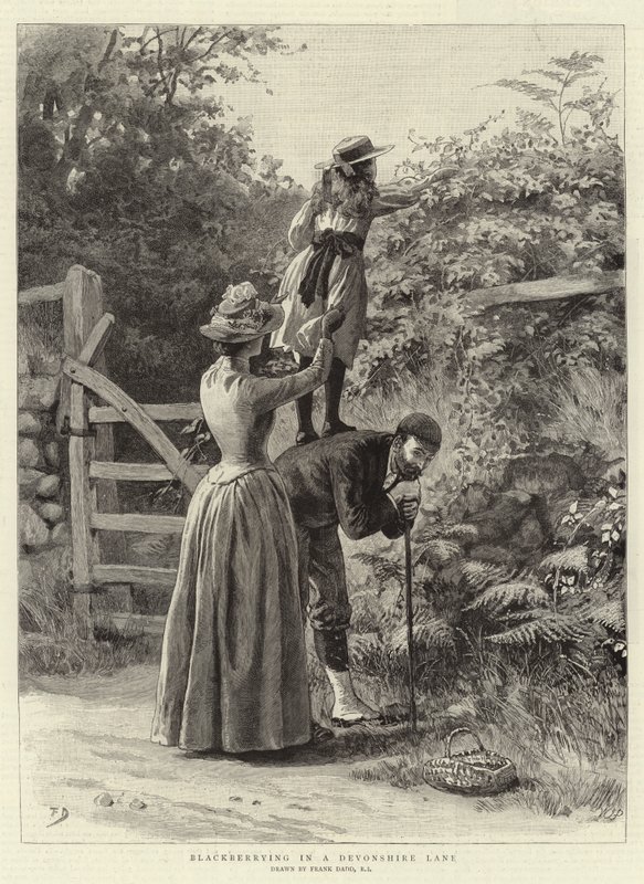 Björnbär i en Devonshire Lane av Frank Dadd