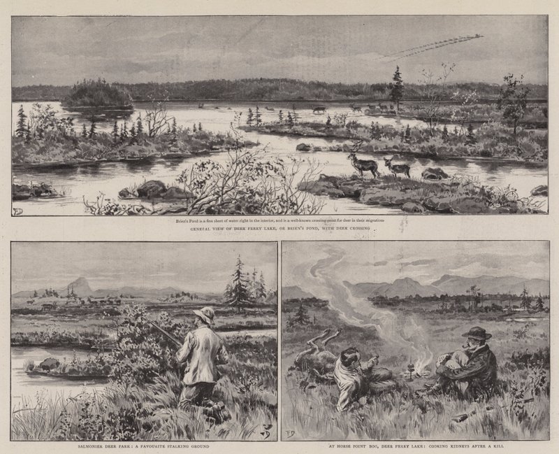 Jordbruk och idrott i Newfoundland av Frank Dadd