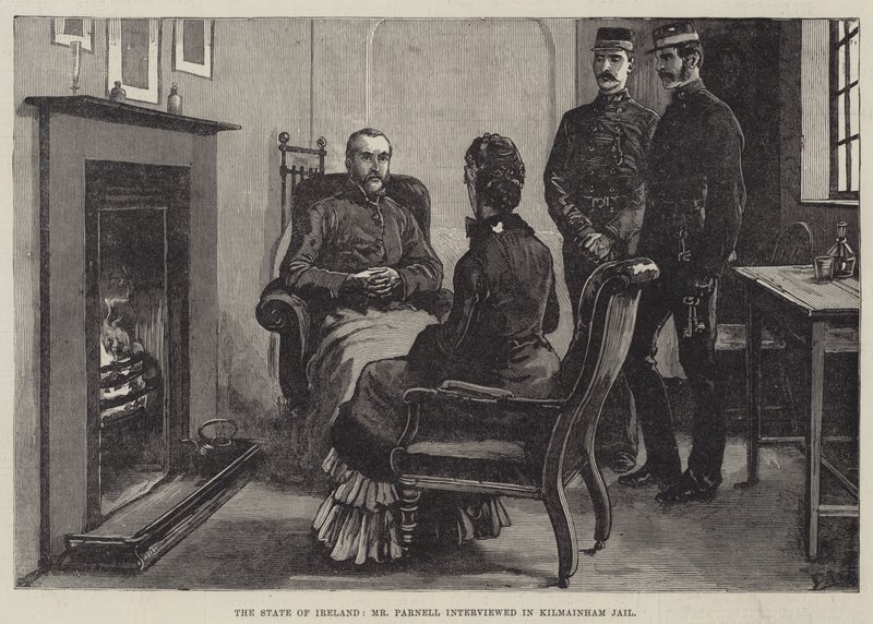 Den irländska staten, Mr Parnell intervjuade i Kilmainham Jail av Frank Dadd