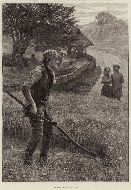 Gräsklipparen av Frank Dadd