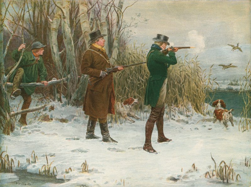 Vildand som skjuter vid jul av Frank Dadd