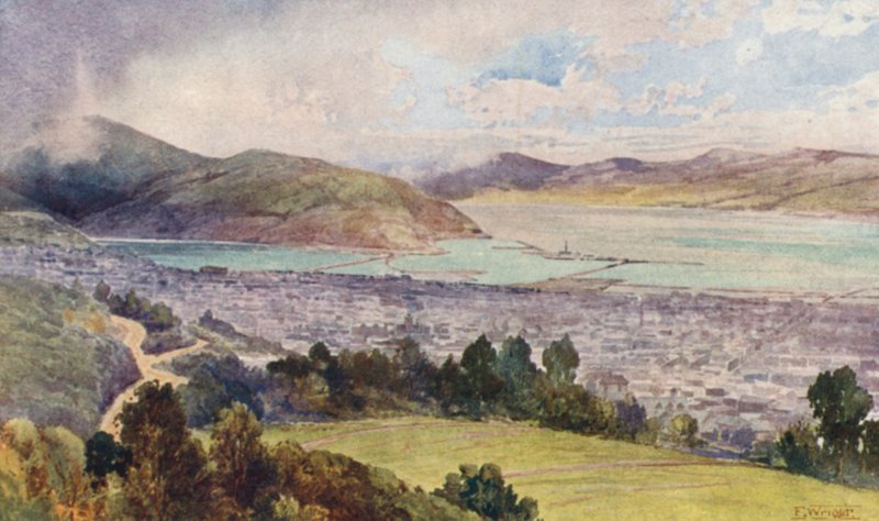 Nya Zeeland: Dunedin (färglitografi) av Frank H Wright