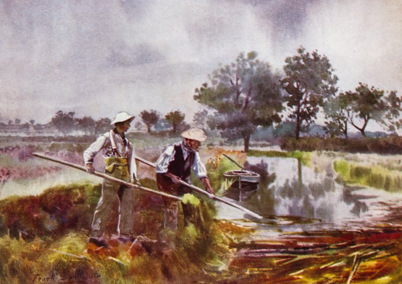Norfolk Broads: Marshmen Weed-Lifting av Frank Southgate