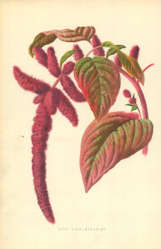 Kärlek-Lögner-Blöder av Frederick Edward Hulme