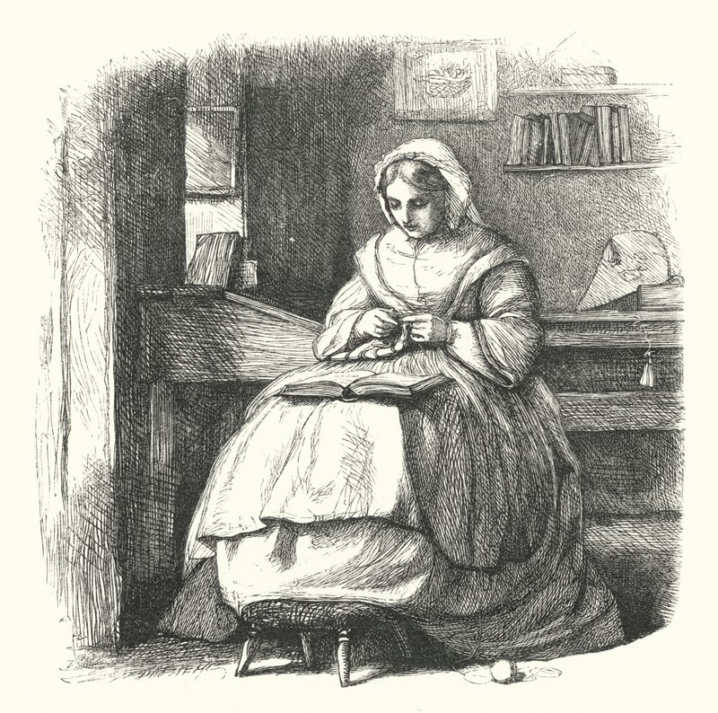 Vårdkompisen av Frederick Walker