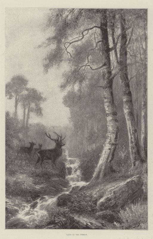 Gryning i skogen av Frederick William Hayes